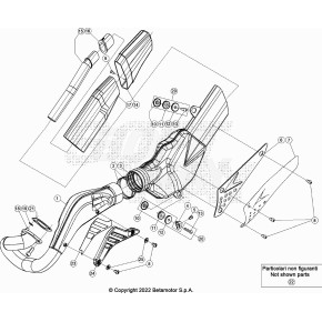 COLLETTORE SCARICO EVO 2T