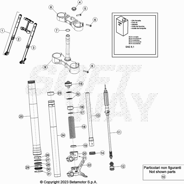 GAMBA FORCELLA SINISTRA