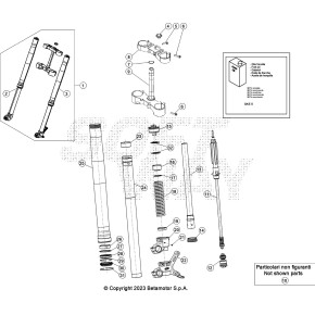 GAMBA FORCELLA DESTRA