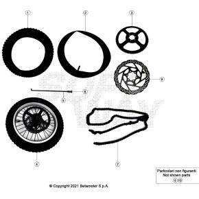 RUOTA POSTERIORE COMPLETA