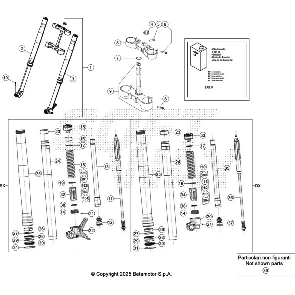 GAMBA FORCELLA DESTRA RR 2T