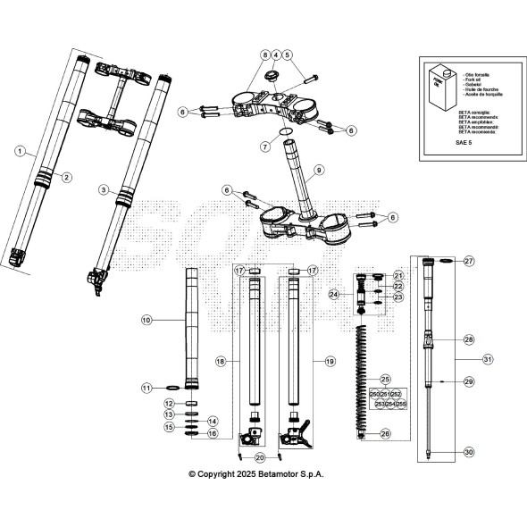 GAMBA FORCELLA DESTRA RX 2T