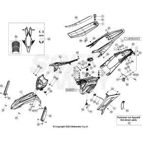 PARAFANGO ANTERIORE WHITE RR