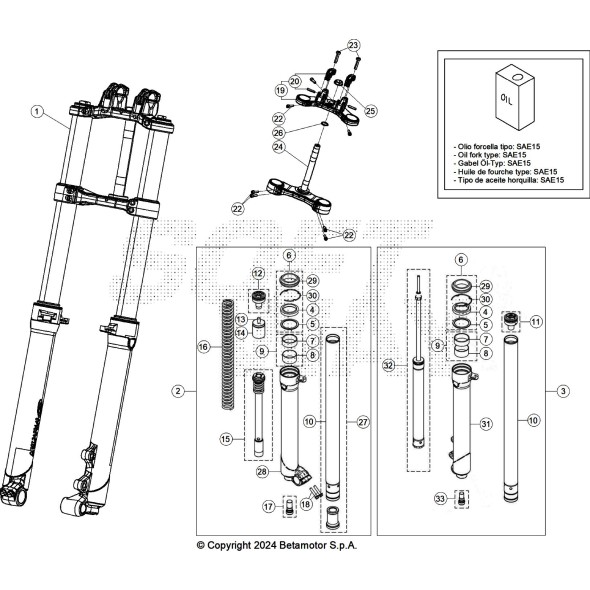 GAMBA FORCELLA DESTRA EVO 2T -200