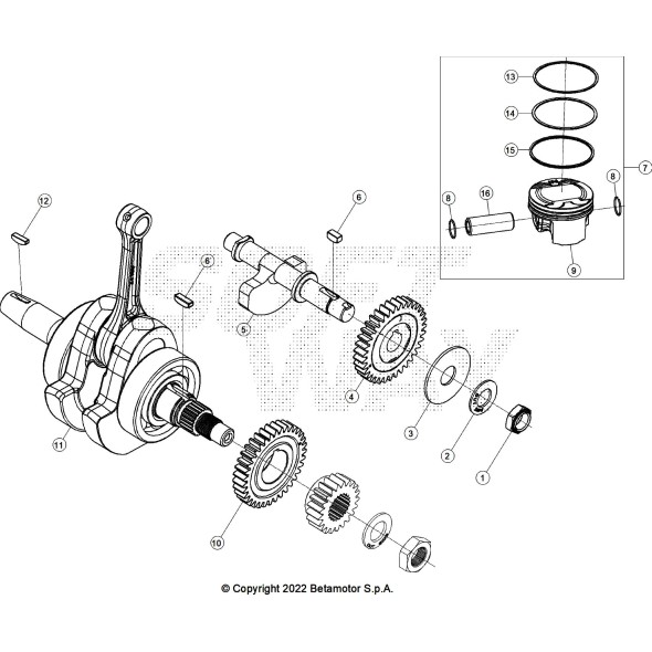 RONDELLA ,2X27X2,1X1,5