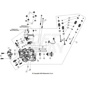 ANELLO DI TENUTA 8,8X1,9