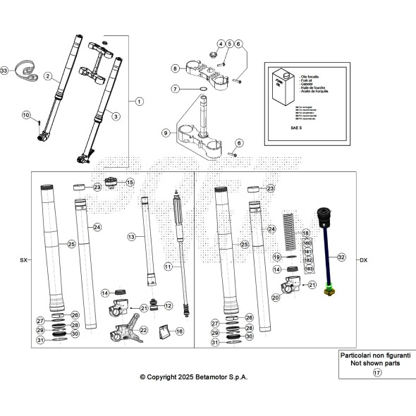 FORCELLA COMPLETA RR 4T X-PRO