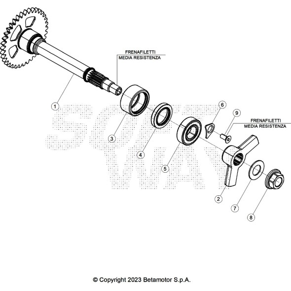 ALBERO BILANCIAMENTO RX 4T