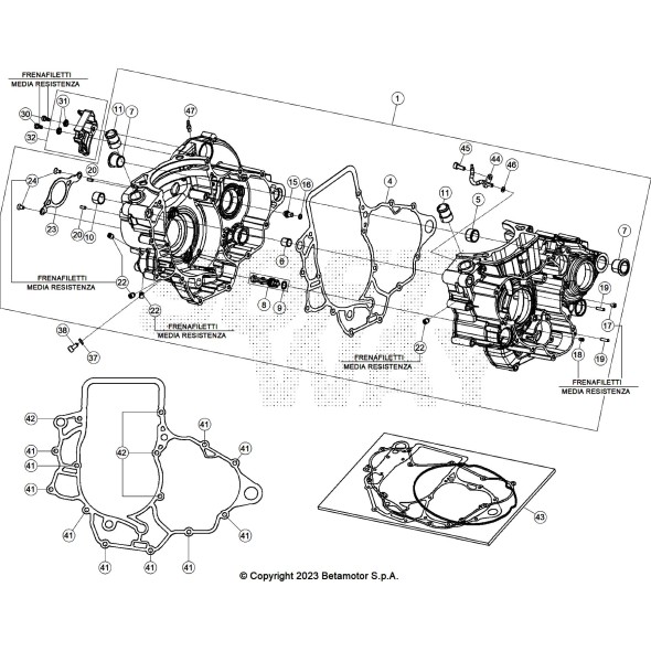 GUARNIZIONE CARTER - KIT RX 4T