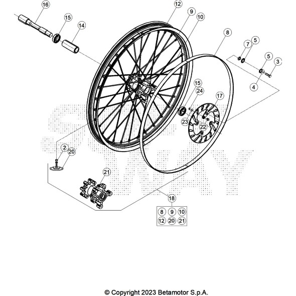 RUOTA ANTERIORE BLUE EVO