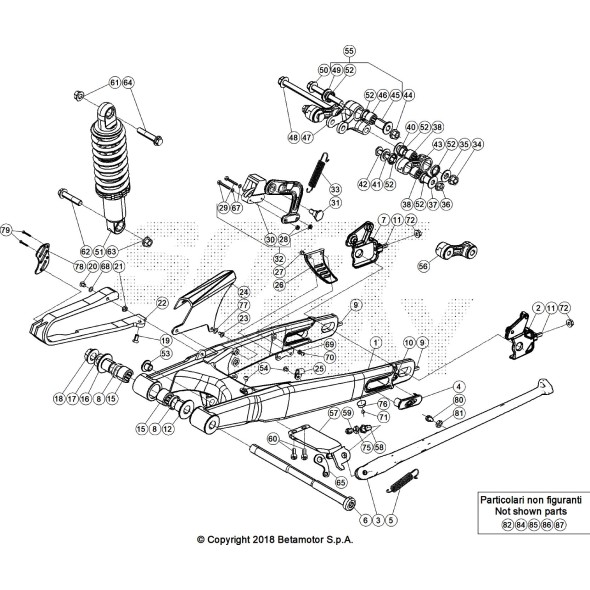 FORCELLONE COMPLETO RED EVO 2T FACTORY