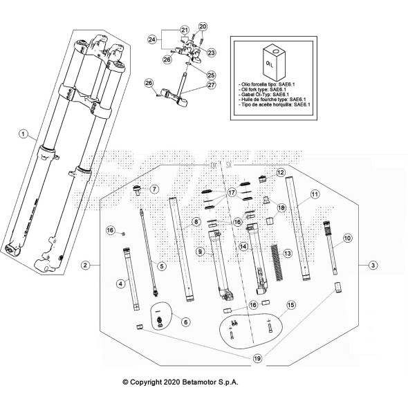 FORCELLA COMPLETA EVO 2T SENIOR