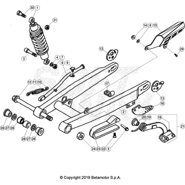 FORCELLONE RED EVO 2T SENIOR