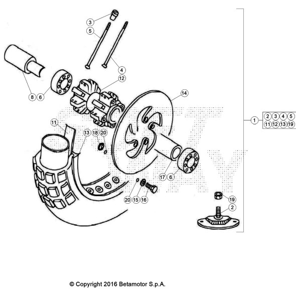 RUOTA ANTERIORE EVO 2T SENIOR