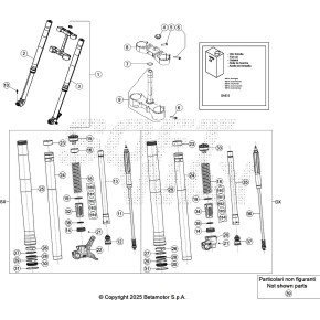 FORCELLA COMPLETA RR 4T