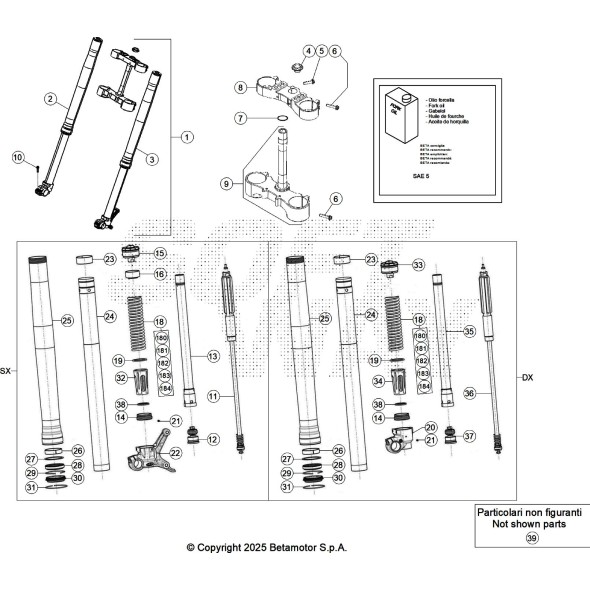 FORCELLA COMPLETA RR 2T -200