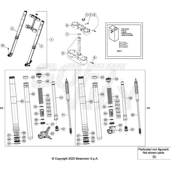 GAMBA FORCELLA SINISTRA RR 2T -300 MY