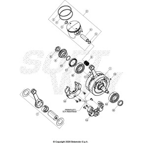PISTONE MOTORE D79 - C