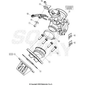 CARBURATORE COMPLETO SINCRO 2T -250-3