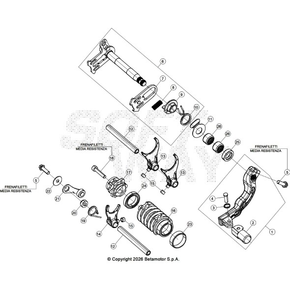 ALBERO COMANDO CAMBIO