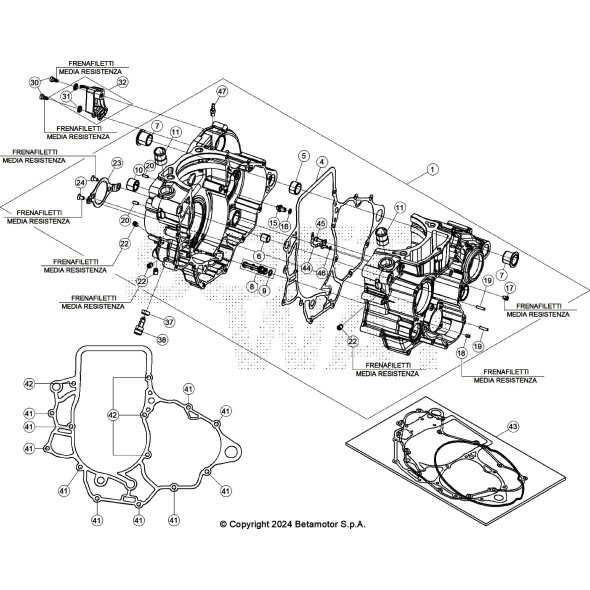 CARTER MOTORE RR 4T -390