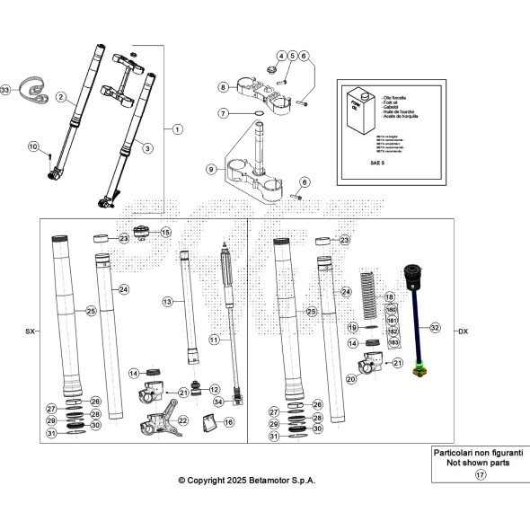 FORCELLA COMPLETA RR 4T X-PRO