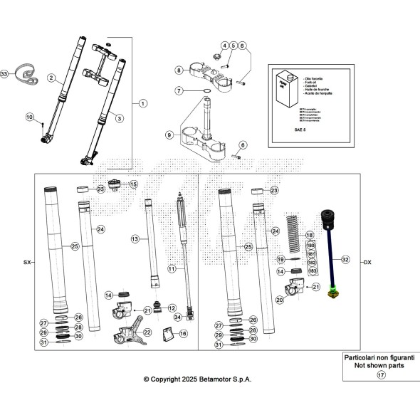 FORCELLA COMPLETA RR 2T -200 X-PRO MY