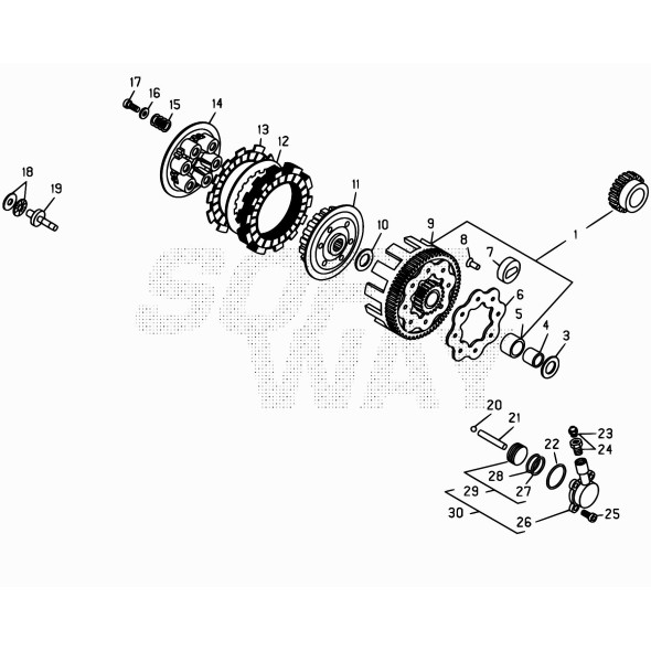 TAMBURINO FRIZIONE EVO 2T/4T 007.03.010.00.00