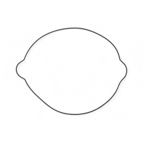 Guarnizione coperchietto frizione KTM GU32017T