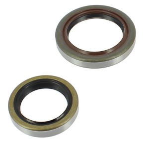 Serie paraoli albero motore BETA RR125 2T GU427220T