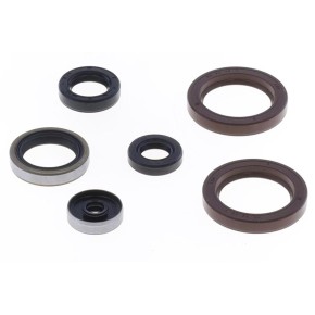 Serie paraoli motore HUSABERG HUSQVARNA KTM GU84134T