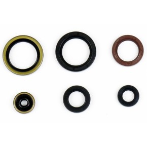 Serie paraoli motore GASGAS HUSQVARNA KTM GU84591T