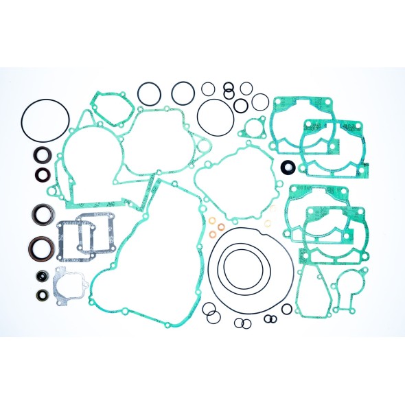 Serie guarnizioni motore (con serie paraoli motore) BETA GU84602T