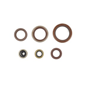 Serie paraoli motore BETA GU84604T