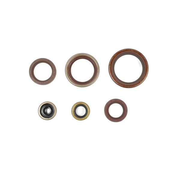 Serie paraoli motore BETA GU84604T