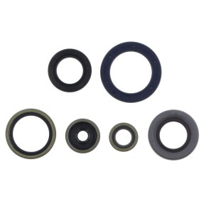 Serie paraoli motore GASGAS HUSQVARNA KTM 85 GU84620T