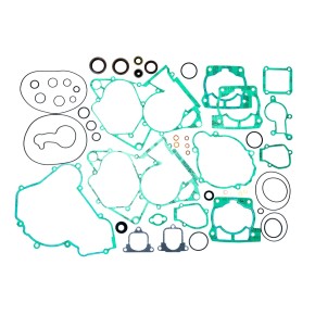 Serie guarnizioni motore (con serie paraoli motore) BETA RR 125 2T GU84671T