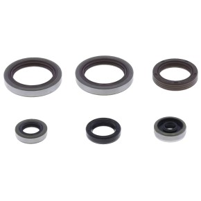 Serie paraoli motore BETA RR 125 2T GU84673T