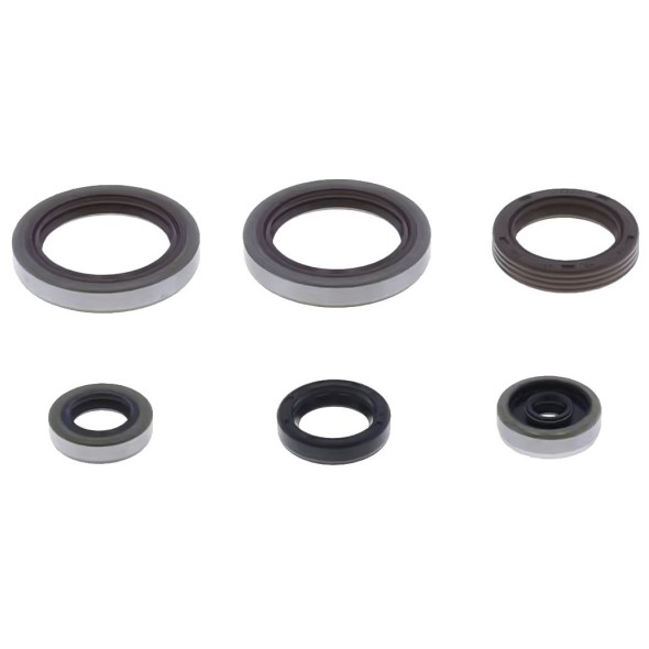 Serie paraoli motore BETA RR 125 2T GU84673T