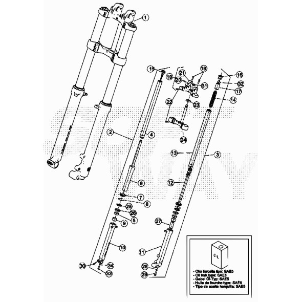 VITE SPEC. M6X30 FORCELLA REV