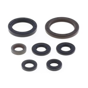 Serie paraoli motore GASGAS HUSQVARNA KTM GU84684T