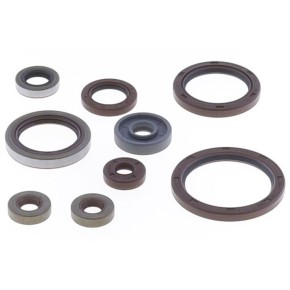 Serie paraoli motore BETA RR 350/390 GU84697T