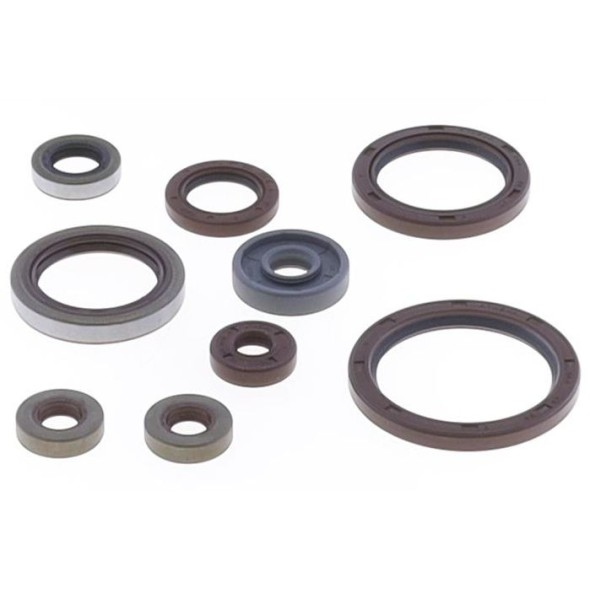 Serie paraoli motore BETA RR 350/390 GU84697T