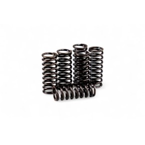 Kit molle frizione rinforzate KTM 125/200 HDS77.5