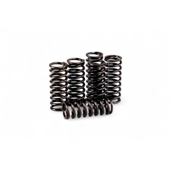 Kit molle frizione rinforzate KTM 125/200 HDS77.5