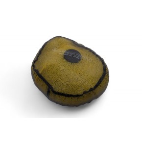 Retina coprifiltro MARCHALD anti-acqua MF5065W