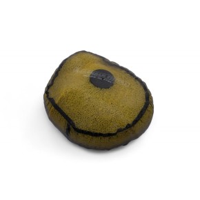 Retina coprifiltro MARCHALD anti-acqua - altezza 12cm MF5070W