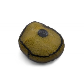 Retina coprifiltro MARCHALD anti-acqua MF5085W