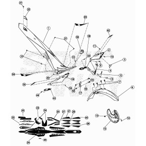 DECALCO EVO -CILINDRATA-125CC 2T-