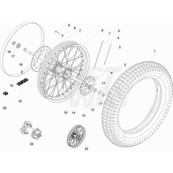 RUOTA POSTERIORE EVO 2T